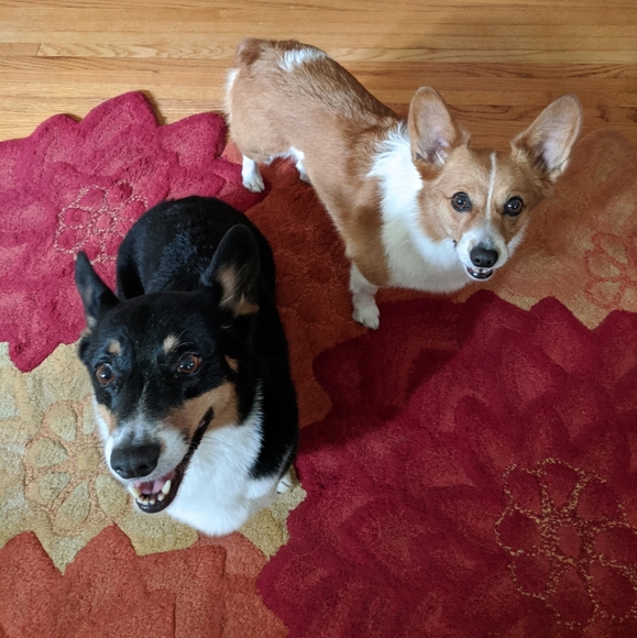 Meet your Posher, Sheila - Picture 7 of 9